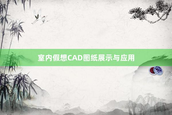 室内假想CAD图纸展示与应用