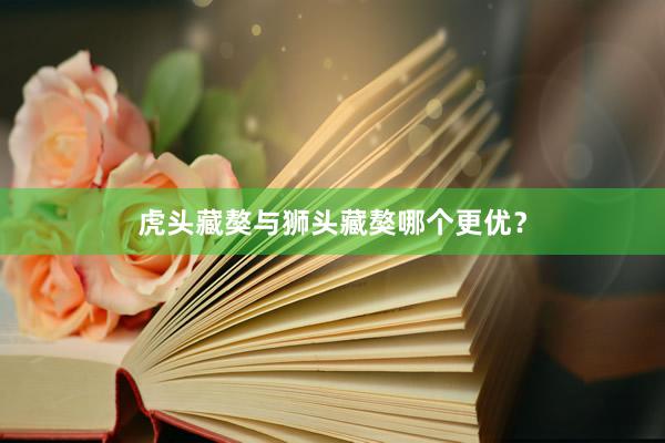 虎头藏獒与狮头藏獒哪个更优？